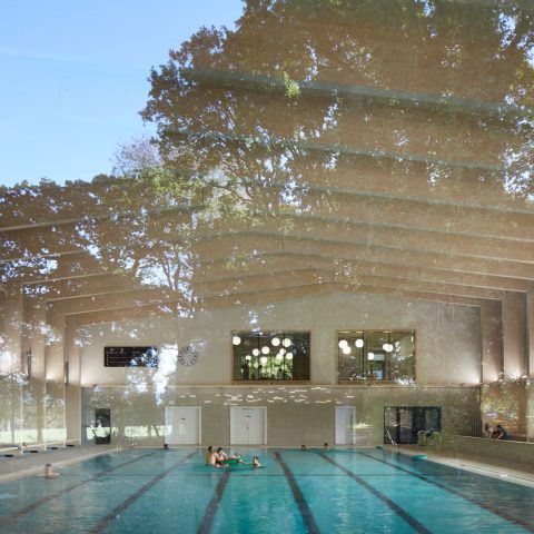 Freemens School Swimming Pool in England - BASWA Phon seamless acoustic plaster
